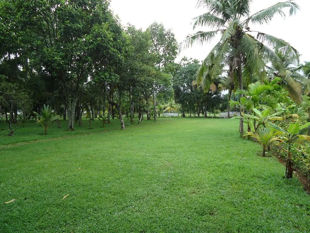 The Windsor Castle Hotel Kottayam 4*,  India